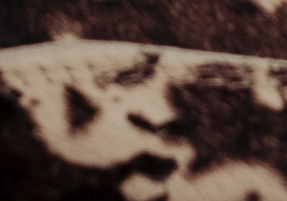 spec image