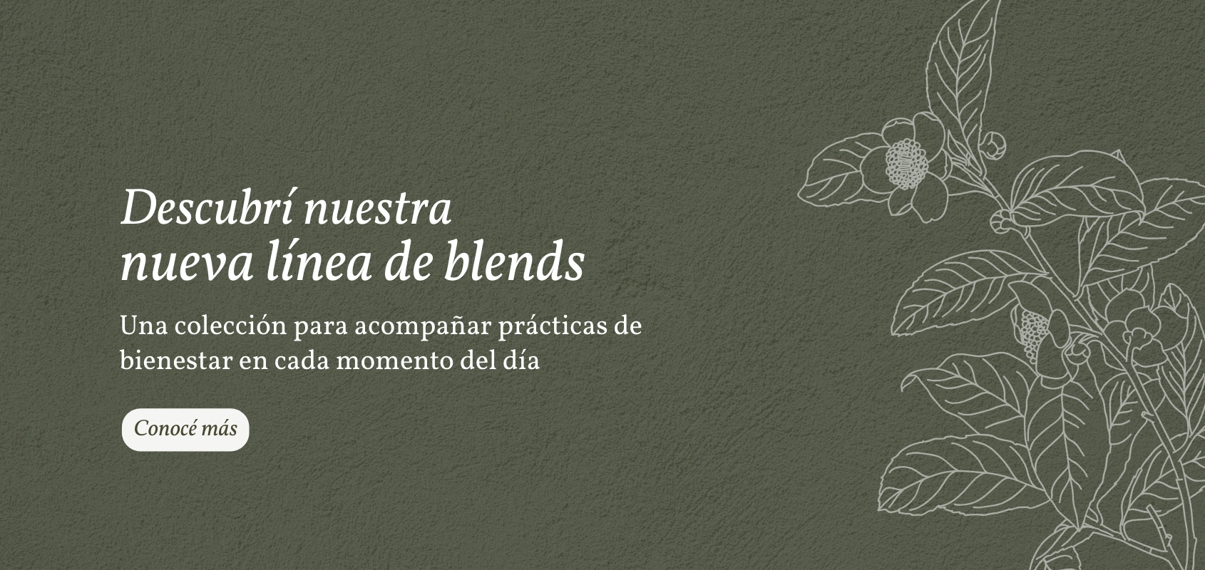 Nuevos blends Bienestar